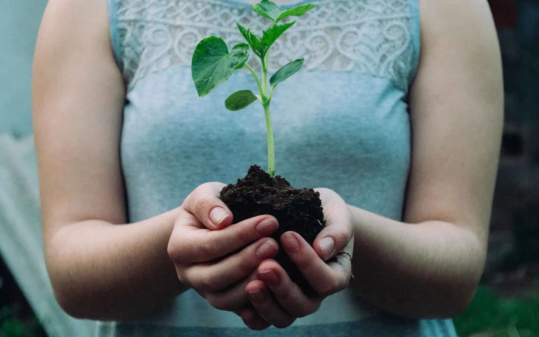 How Highly Sensitive Entrepreneurs Can Turn Sensitivity into Resilience and Thrive
