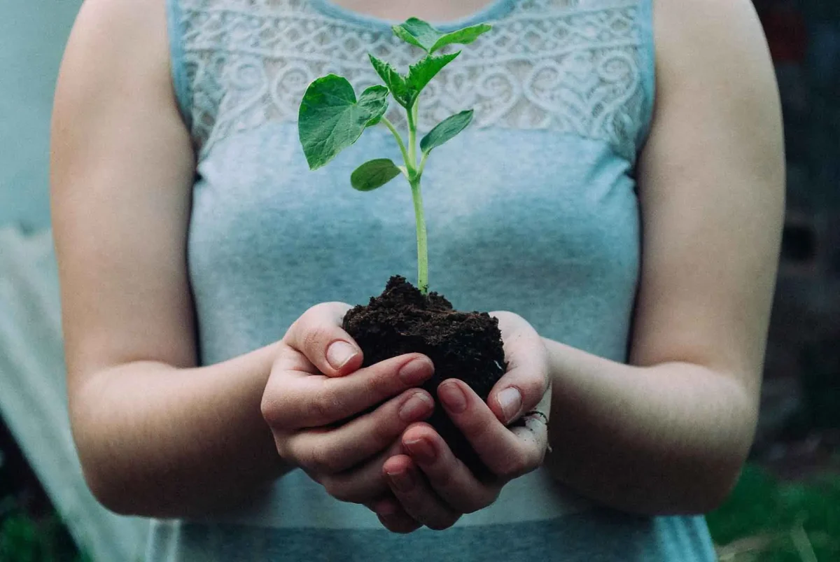 woman holding plant turn sensitivity into strength