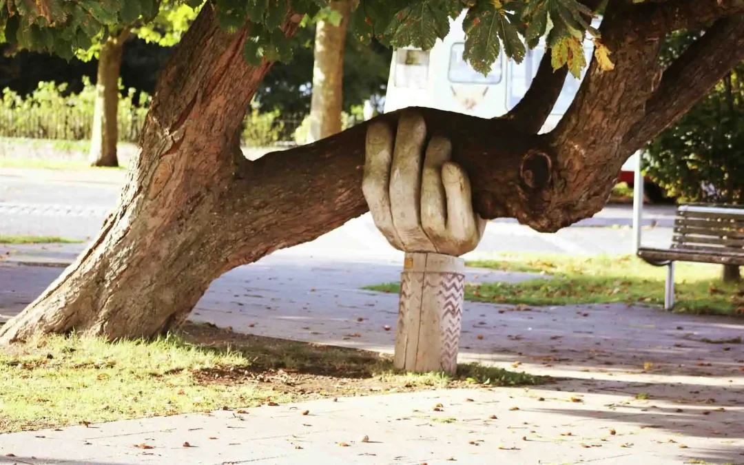 How Support Unlocks Resilience for Highly Sensitive Entrepreneurs