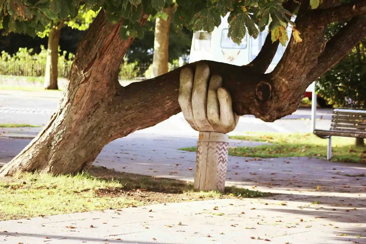 Support Unlocks Resilience - Hand Supporting Tree Branch