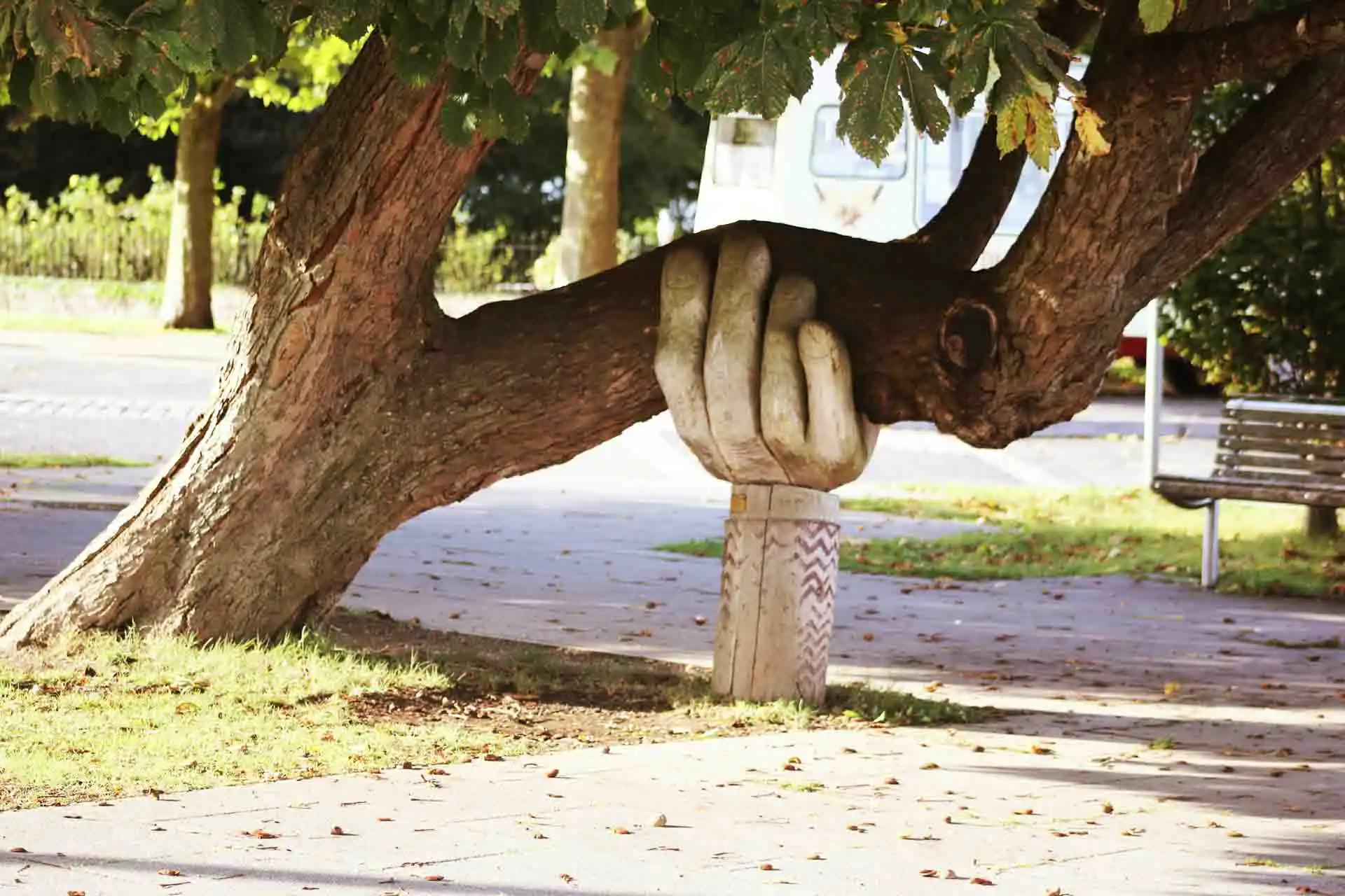 Support_Unlocks_Resilience Support Unlocks Resilience - Hand Supporting Tree Branch
