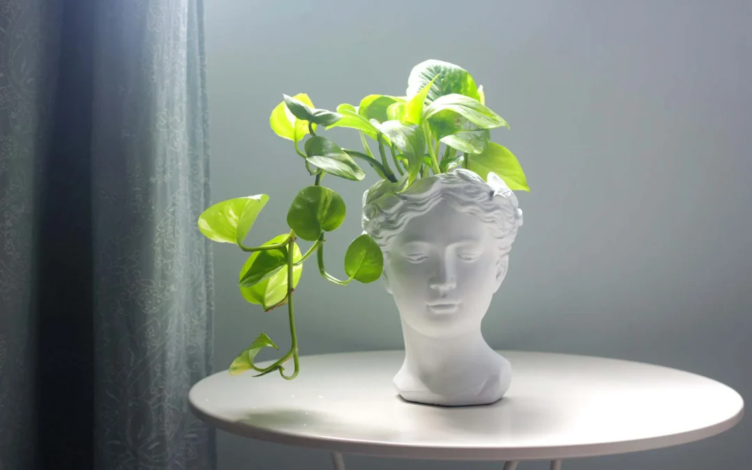 HSP and Executive Function: 5 Steps to Work With Your Brain, Not Against It