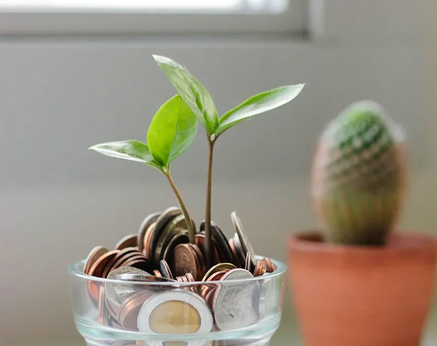 From Fear to Flow: How to Shift Your Money Mindset as a Highly Sensitive Entrepreneur